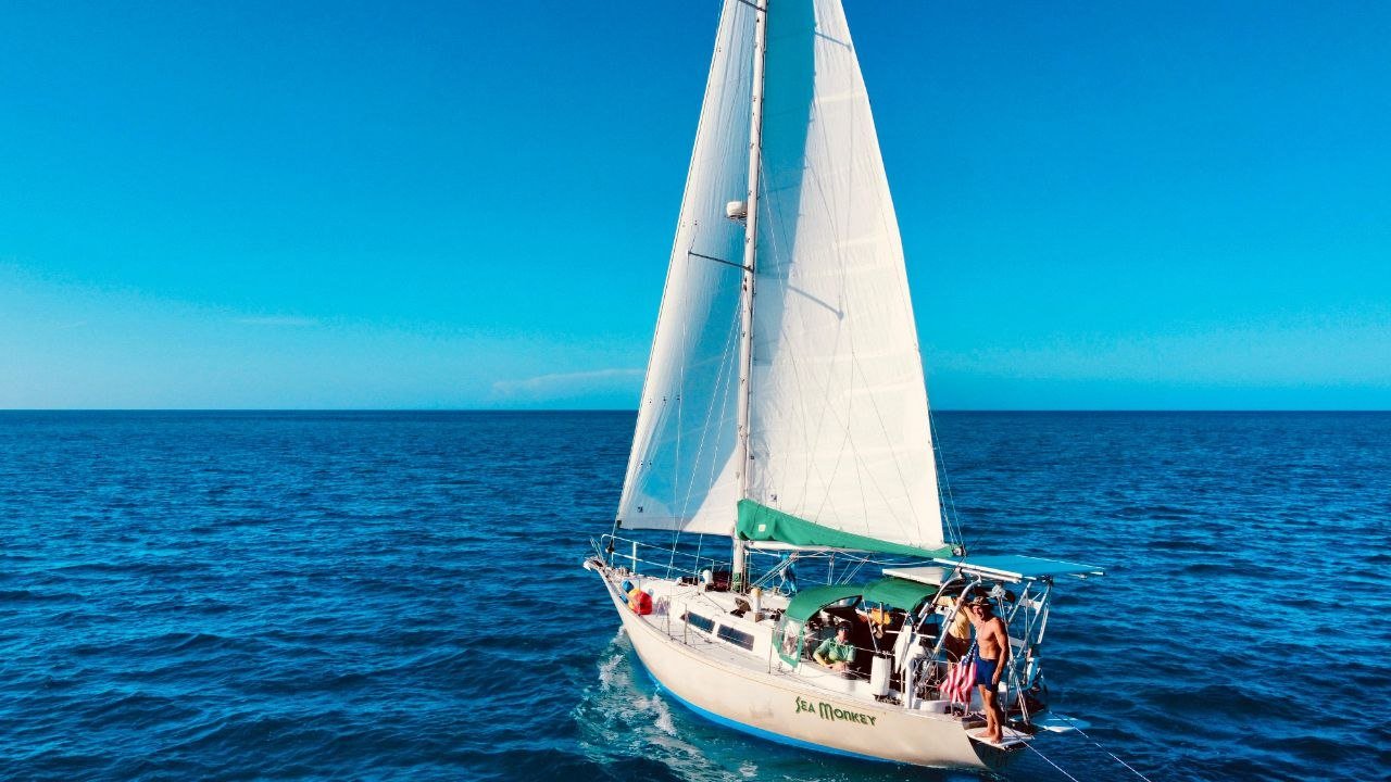 SV Sea Monkey under full sail